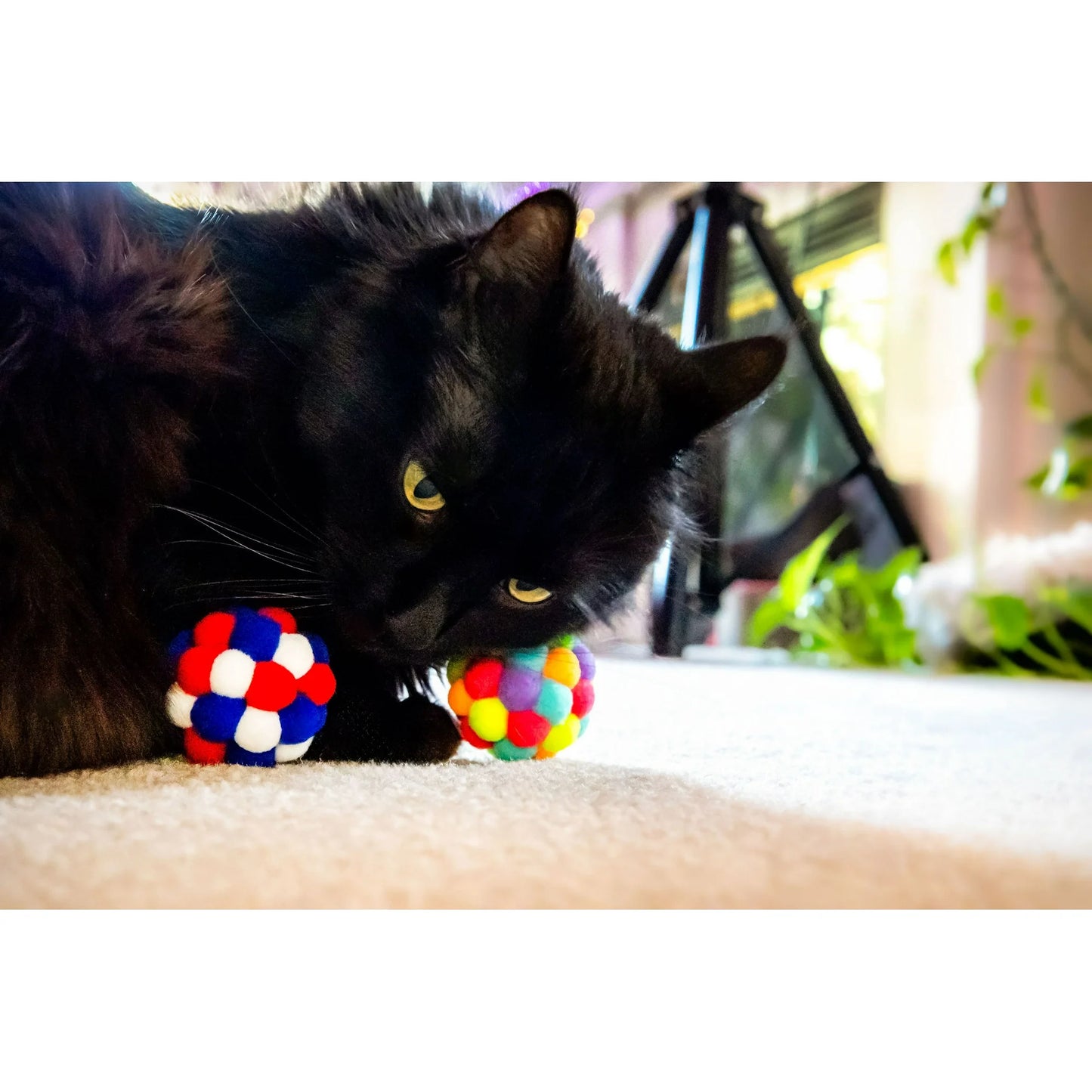 8-Pack Pexley Pom Pom Toys