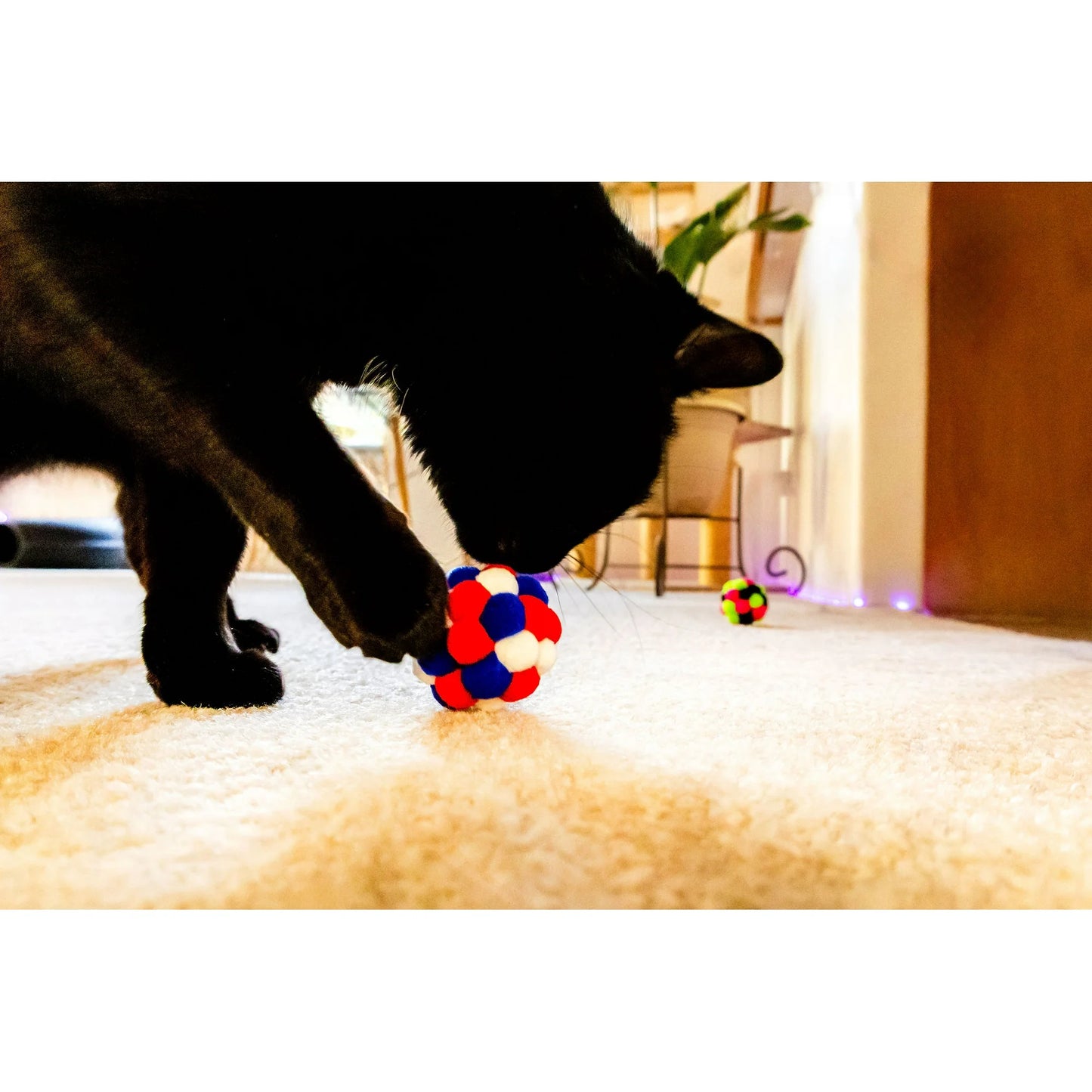 8-Pack Pexley Pom Pom Toys