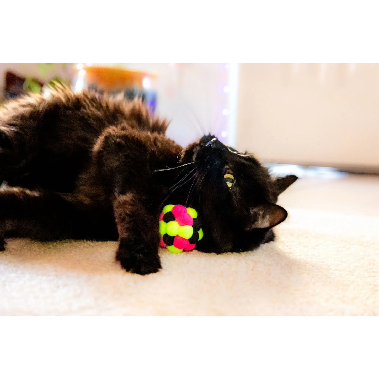 8-Pack Pexley Pom Pom Toys